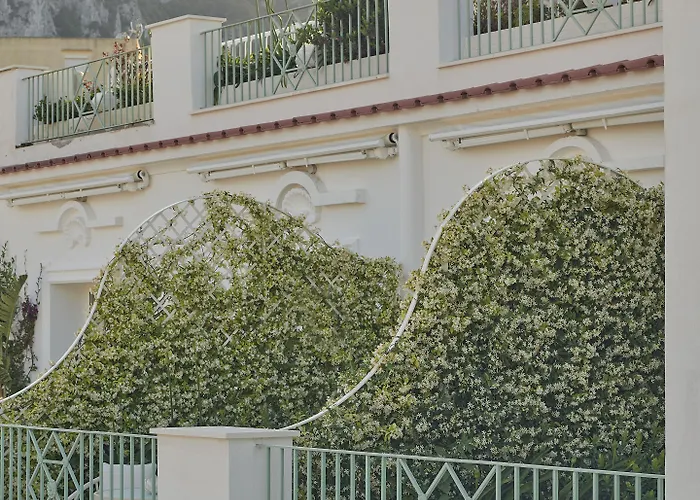 La Palma, Oetker Capri