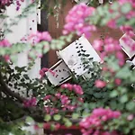 La Palma, Oetker 5* Capri