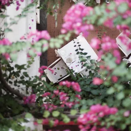 La Palma, Oetker 5* Capri