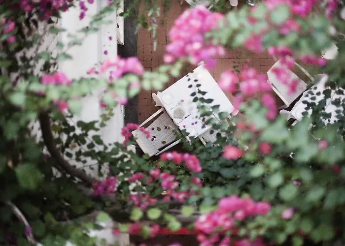 La Palma, Oetker 5* カプリ